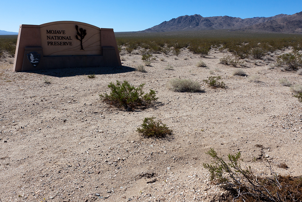 10-13 - 01.jpg - Mojave National Preserve, Nevada